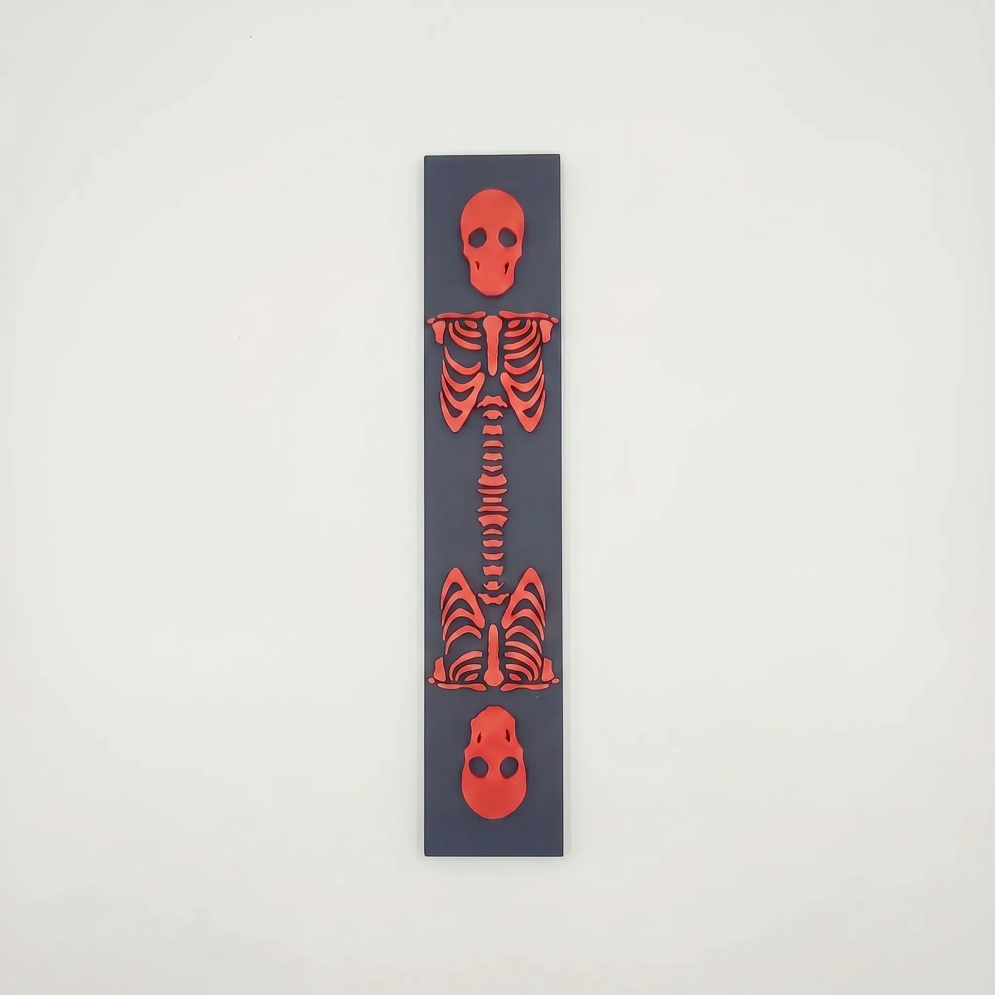 Skeleton | Book Spines | Matchmade.Ink